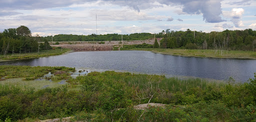 Photo of Laurier Woods Conservation Area - Brule St, North Bay, ON P1A 3Z5